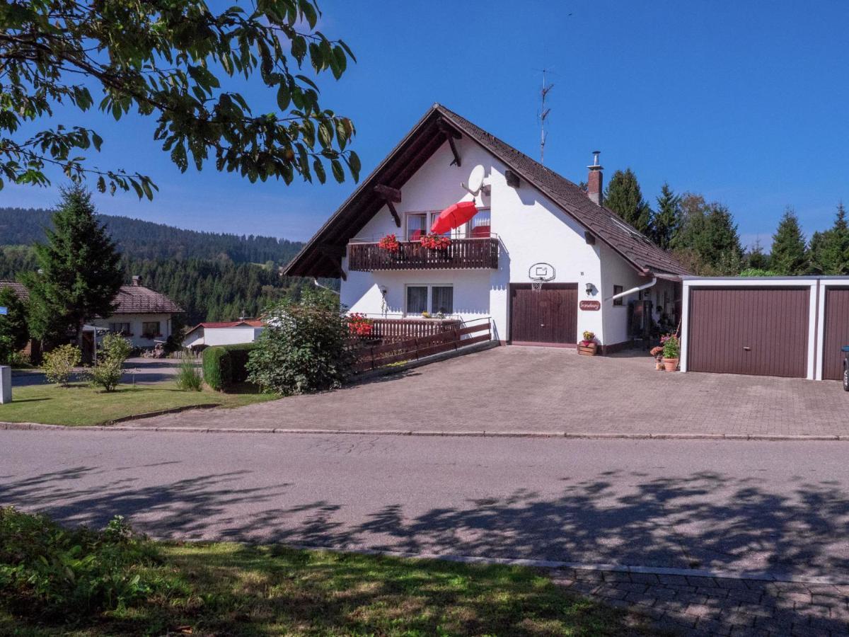 Flat In Herrischried Black Forest Экстерьер фото